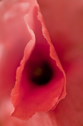 Vulvodynia – przewlekły ból w żeńskich genitaliach